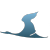 JS-v-15707
