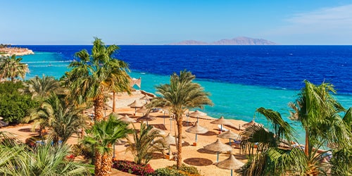 الكويت - شرم الشيخ