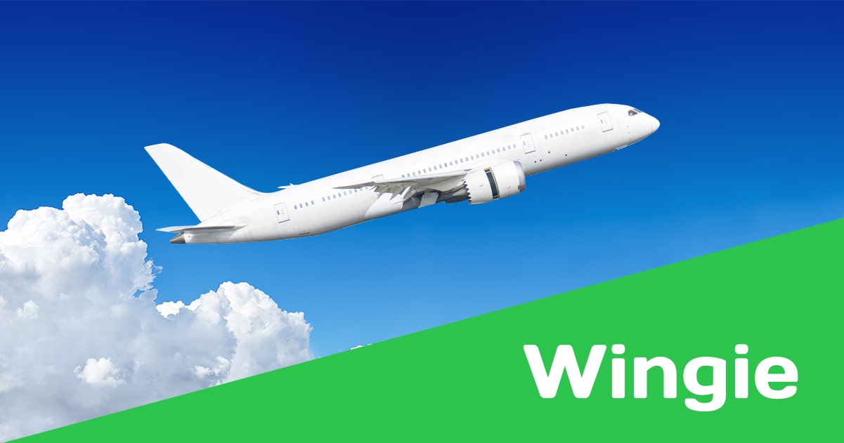 Cheap Ryanair Flights, Book Ryanair Ticket | Wingie
